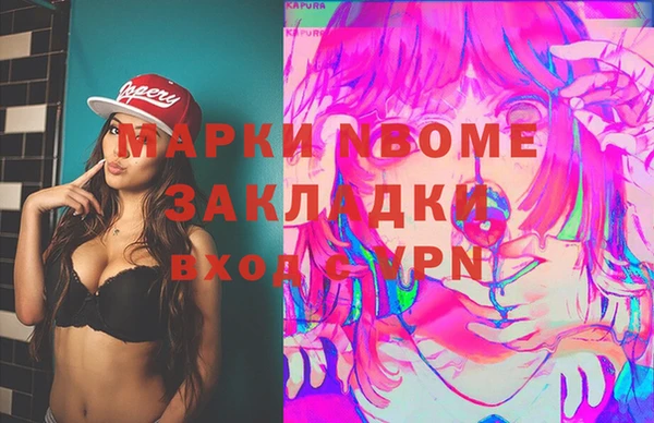 амф Бородино