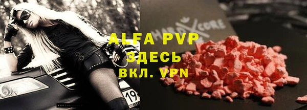 амф Бородино