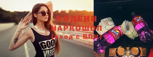 амф Бородино