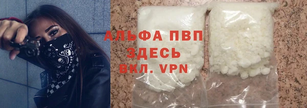 амф Бородино