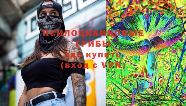 амф Бородино