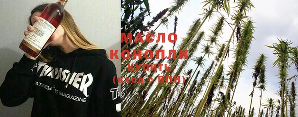 амф Бородино