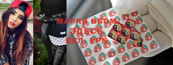амф Бородино