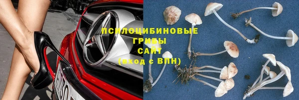 амф Бородино