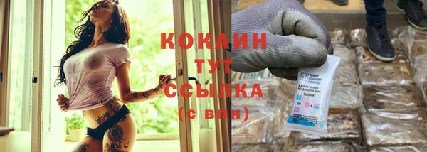 амф Бородино