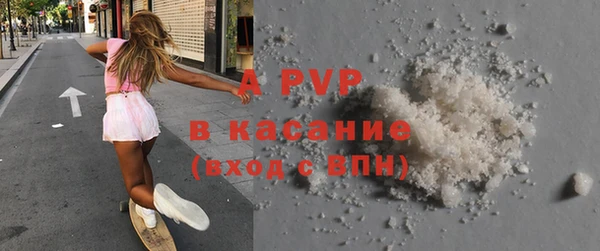 амф Бородино